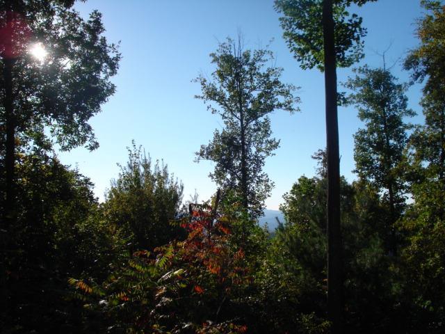 00 Hemlock Falls Road - Photo 1