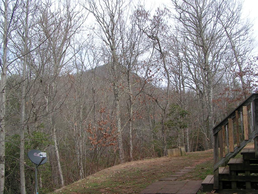 250 Mountain Grove Road - Photo 1