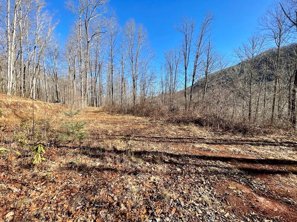 Lot 44 Coppermine Ridge - Photo 1