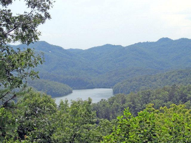 lot 44 Cherokee Ridge - Photo 1