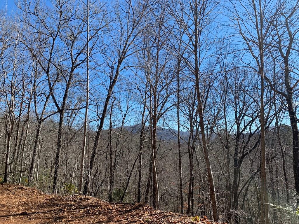 419 Muskrat Valley Lane - Photo 1