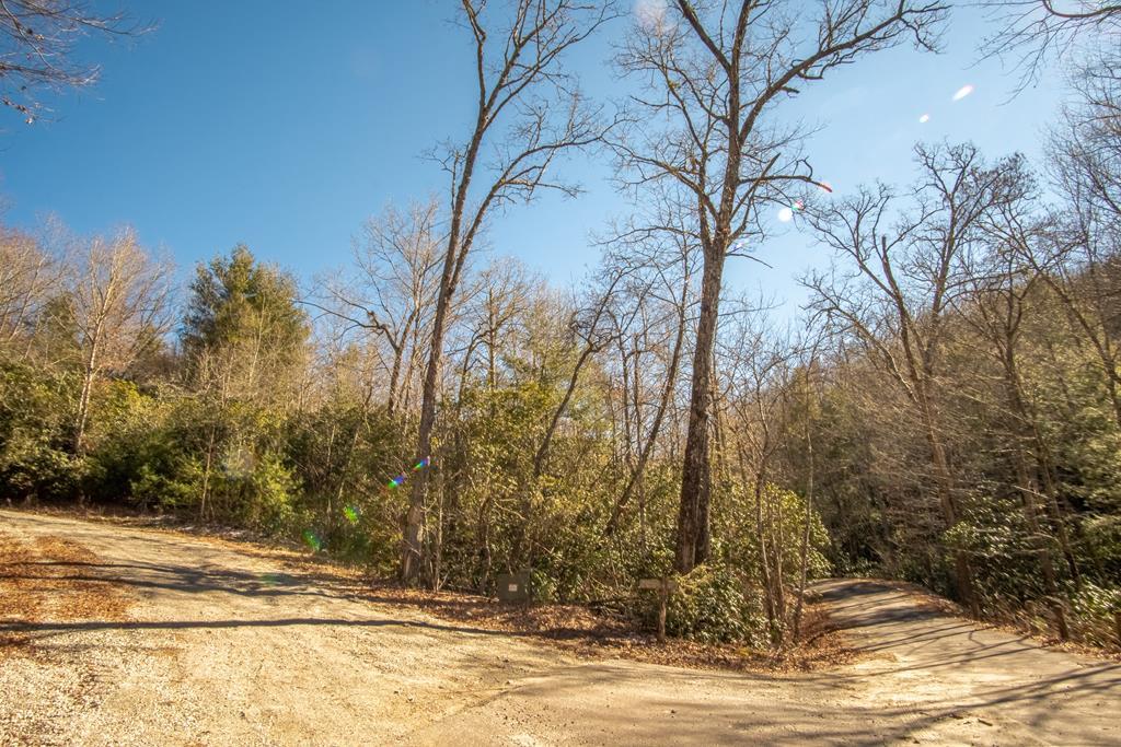 Lot 45&1 Hickory Knoll Ridge Road - Photo 1