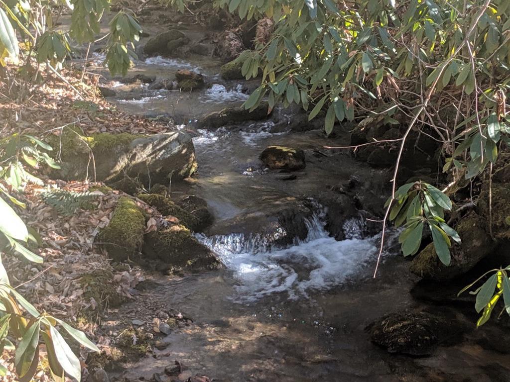 Area 6&7 Hickory Knoll Ridge Road - Photo 1