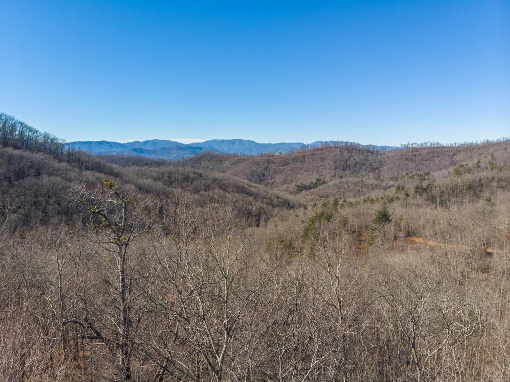 Lot 42 Hickory Knoll Ridge Road - Photo 1