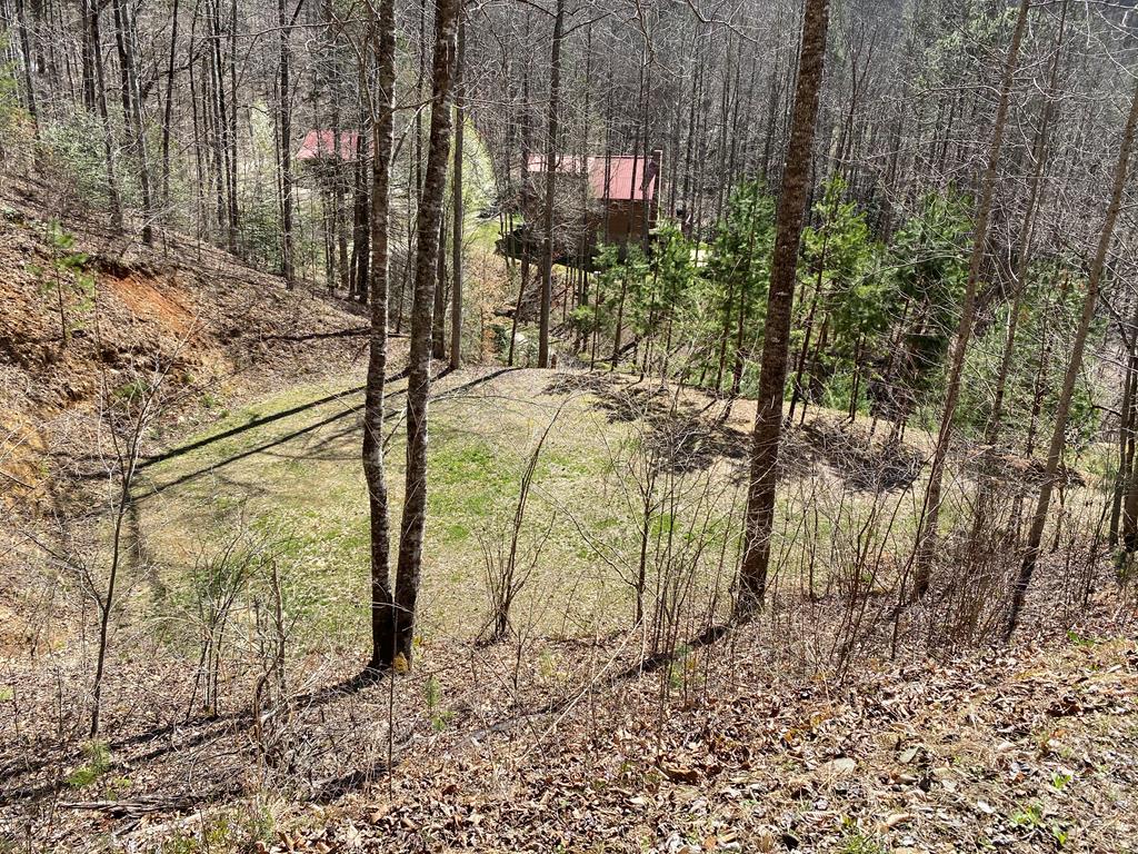 009 Bear Ridge - Photo 1