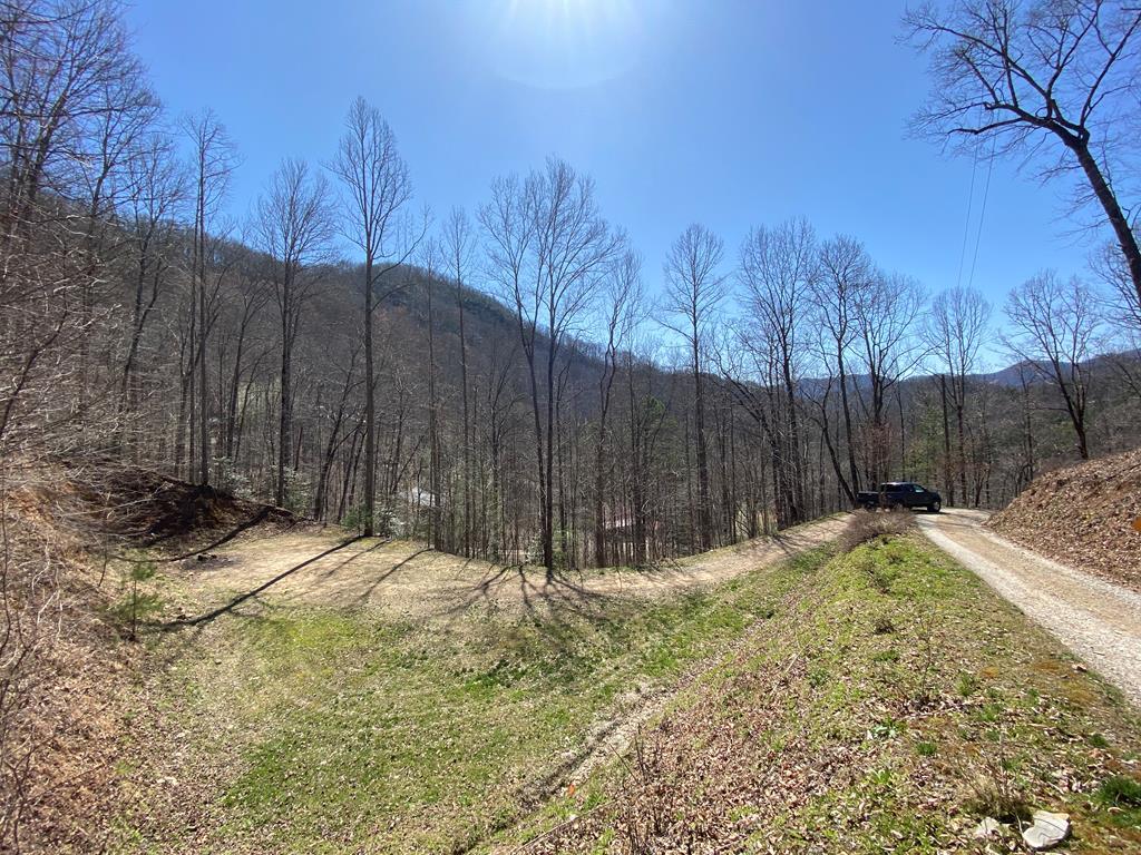 10 Bear Ridge - Photo 1