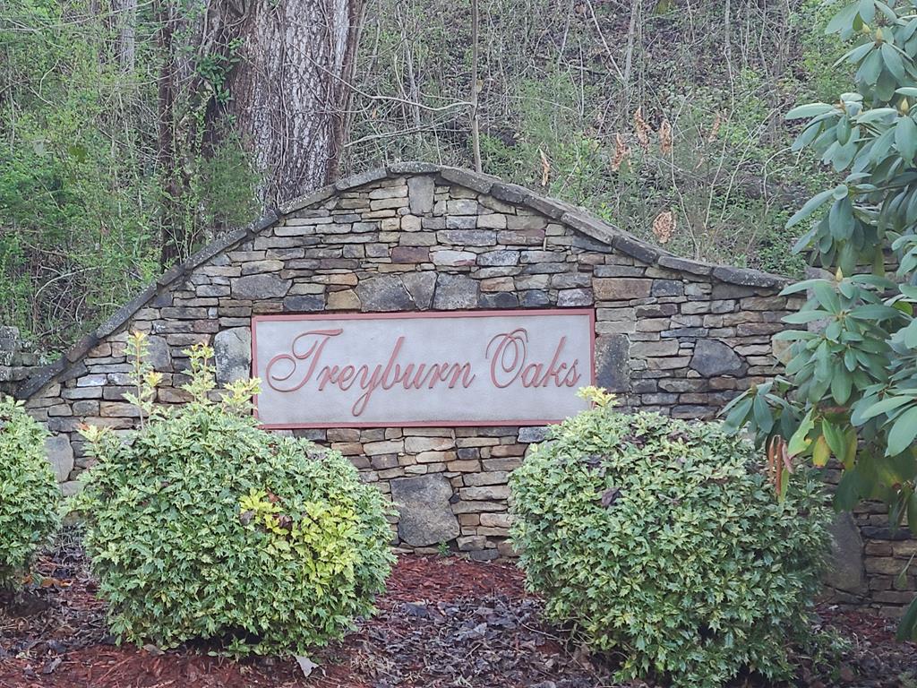 32 Treyburn Oaks Drive - Photo 1