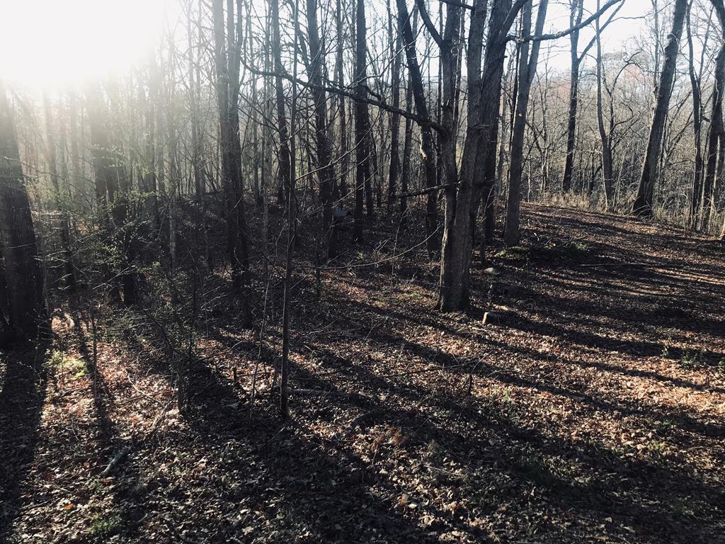 0 Robinson Gap Road - Photo 1