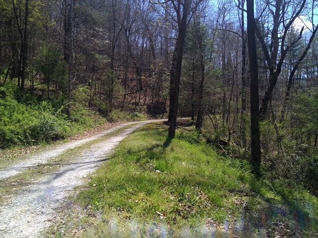00 Jacobs Mtn Rd - Photo 1
