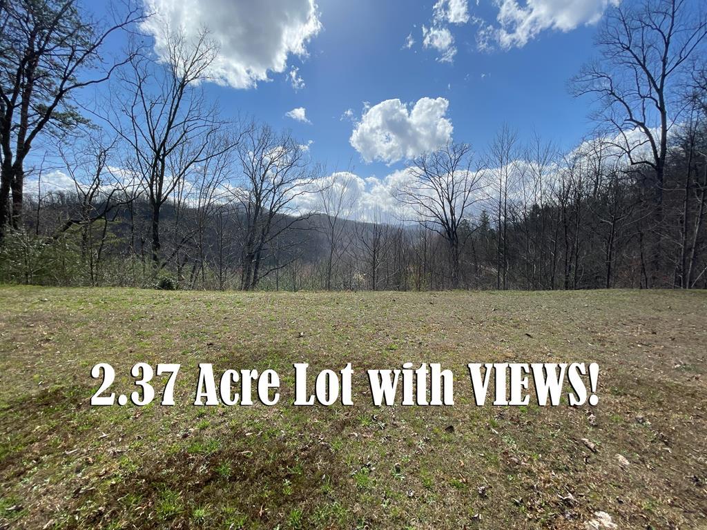 Lot 11 Silvercrest Road - Photo 1