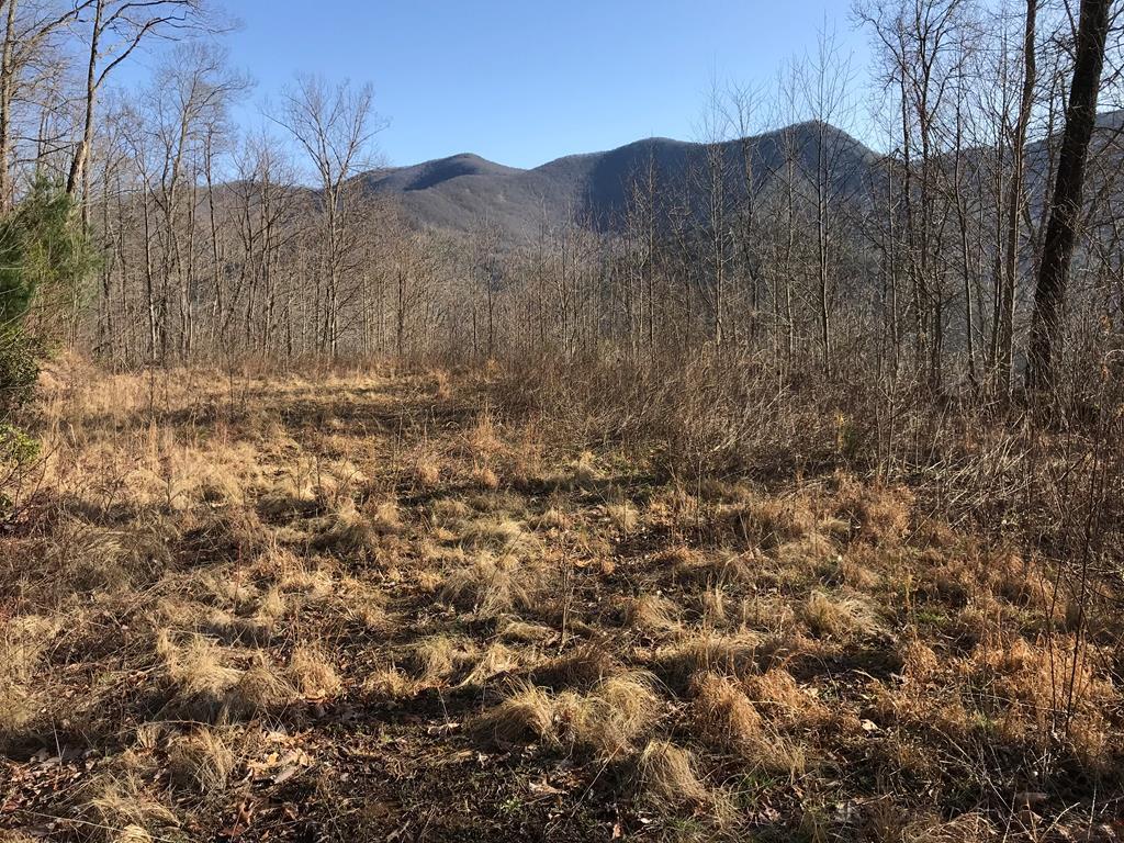 000 Bear Back Ridge - Photo 1