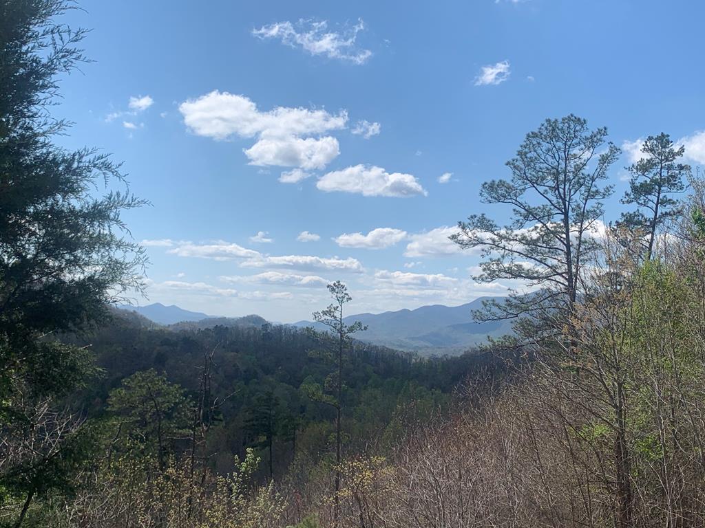 Lot 59 Tuckaseigee Overlook - Photo 1
