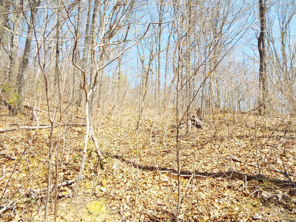 000 Garden Mountain Ridge - Photo 1