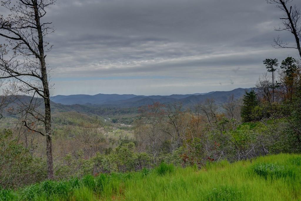 Lot 5 Bryson Gap Road - Photo 1