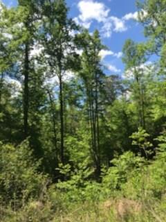 223 Mountain Pride Cove - Photo 1