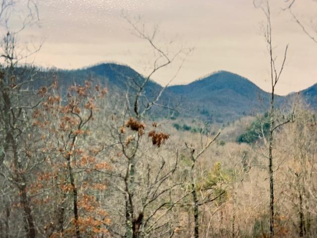 00 Cricket Hollow - Photo 1