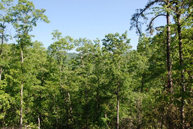 lot 5 Flint Ridge - Photo 1