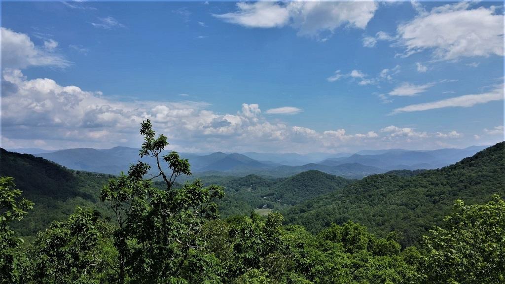 5 Waterfall View Lane - Photo 1