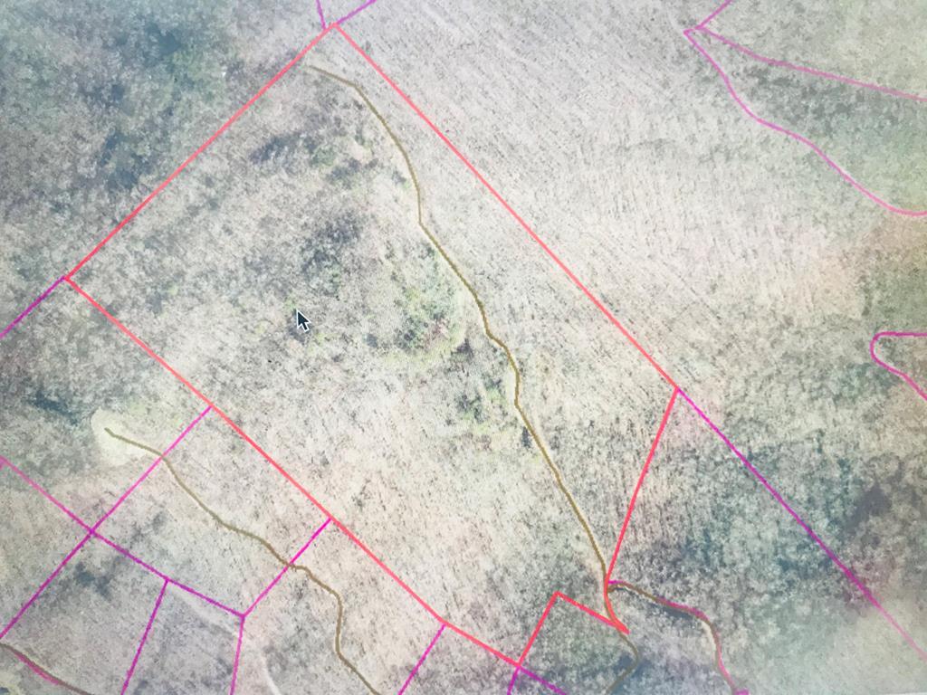 0 Walnut Cove Road - Photo 1