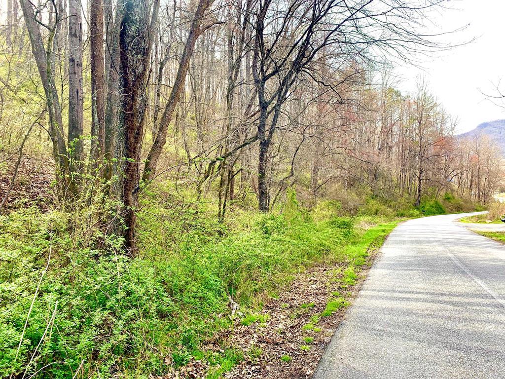 N/A Hidden Valley Road - Photo 1