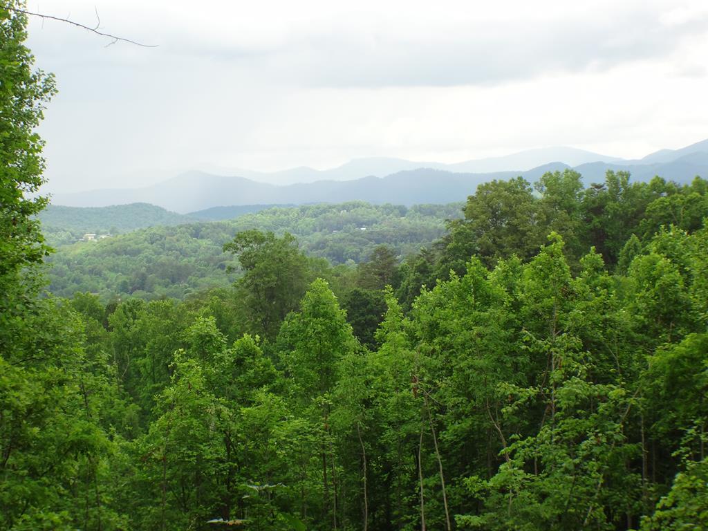 Lot # 7 Gibson Rd - Photo 1