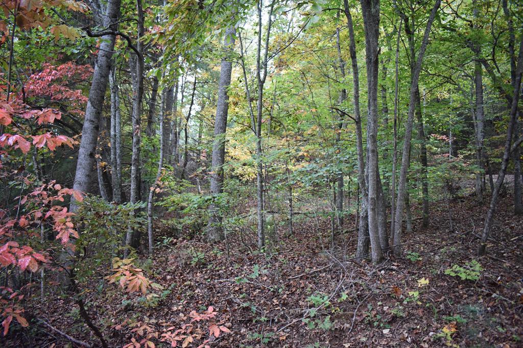 700 Wooten Rd - Photo 1
