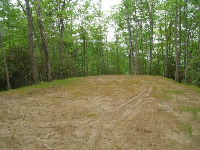 17&20 Black Rock Creek - Photo 1