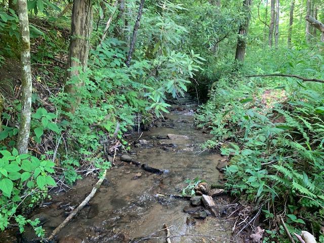 00 Anderson Creek Road - Photo 1
