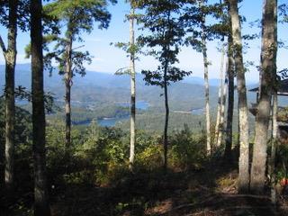 Lot 7 Fontana Trace - Photo 1