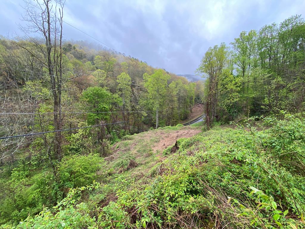 003 Smoky Cove - Photo 1