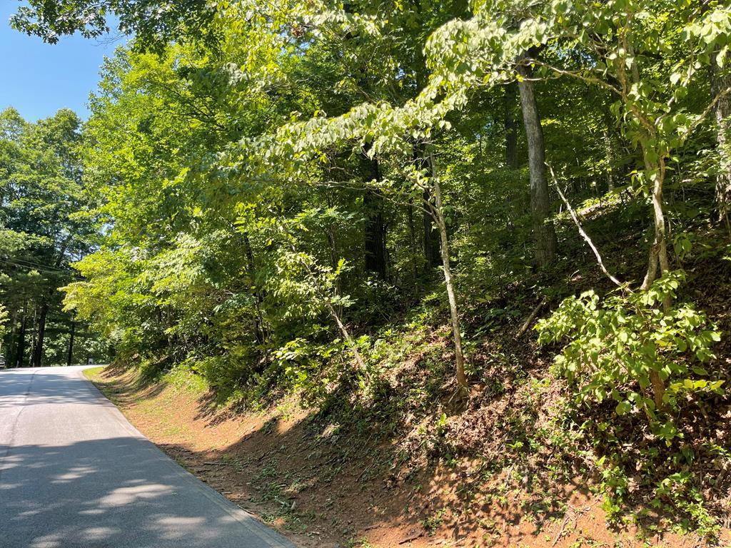594 Lot 31 Winding Way - Photo 1
