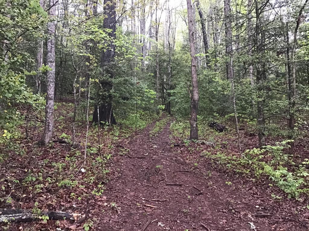 00 Low Brace Rd - Photo 1
