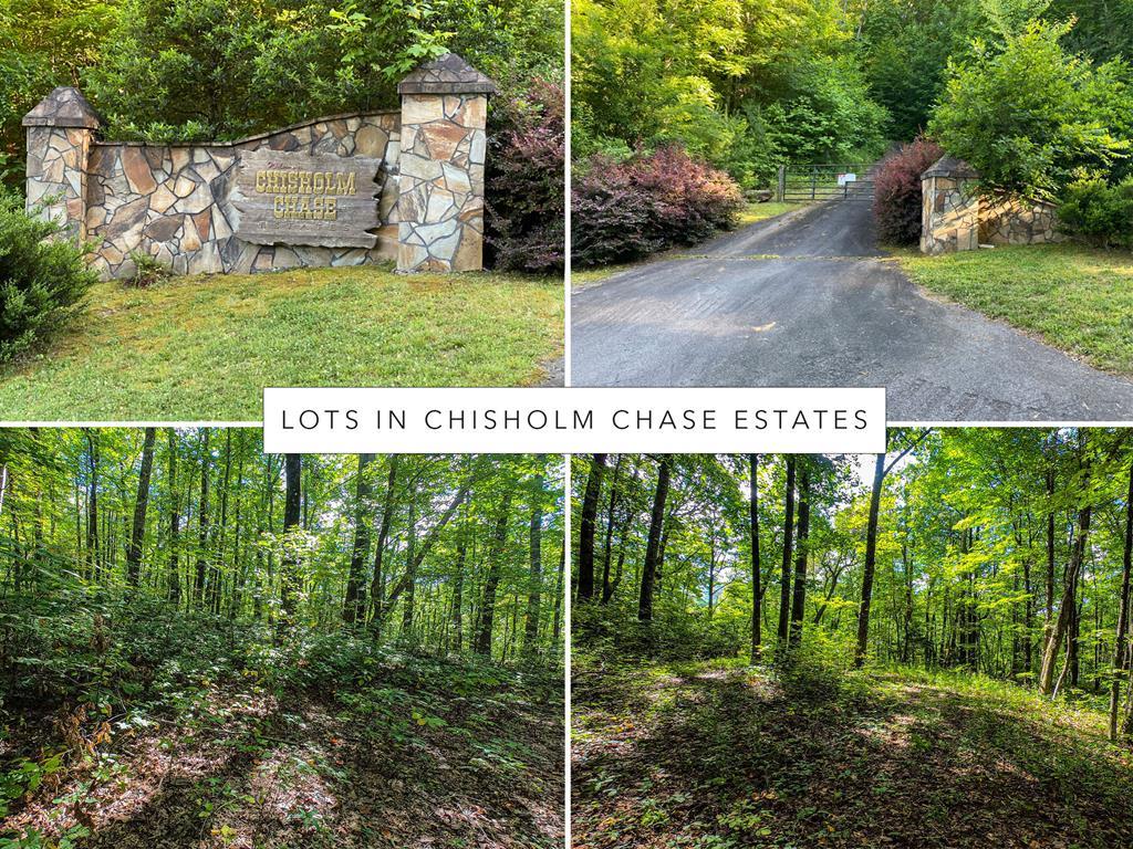 Lot 11 Bates Branch Road - Photo 1