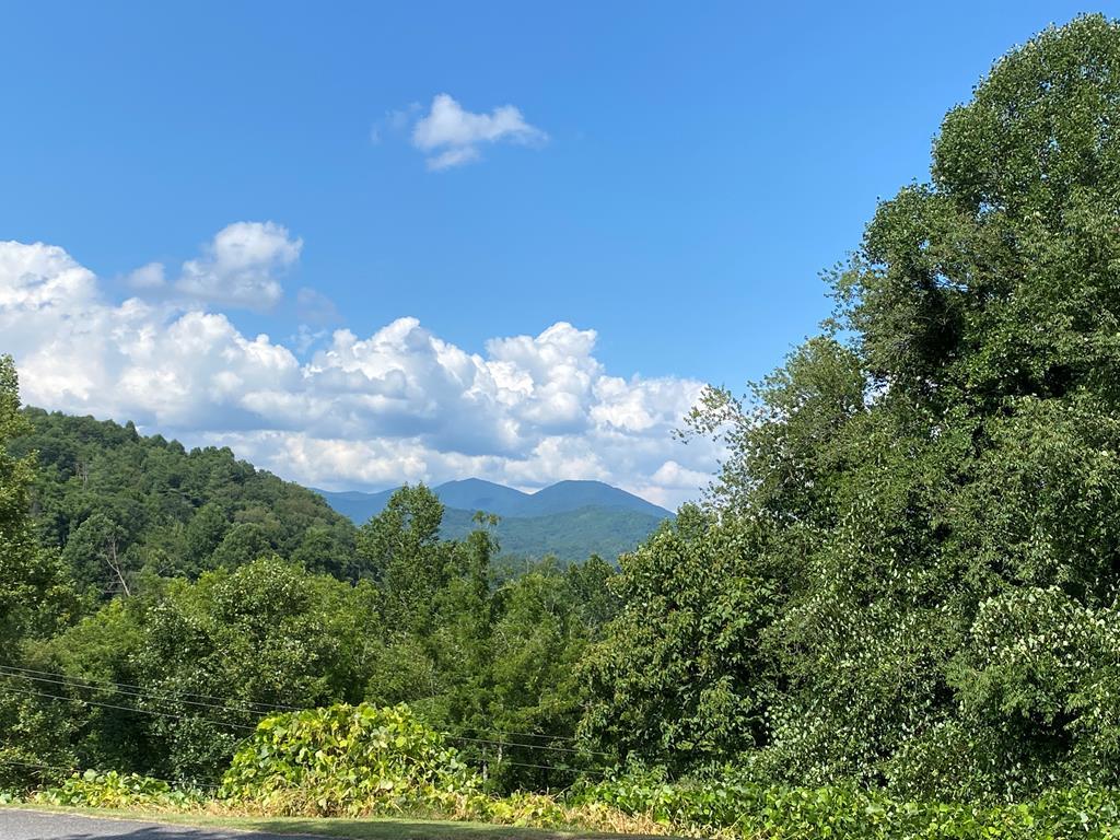 0 Jenkins Branch Rd. - Photo 1