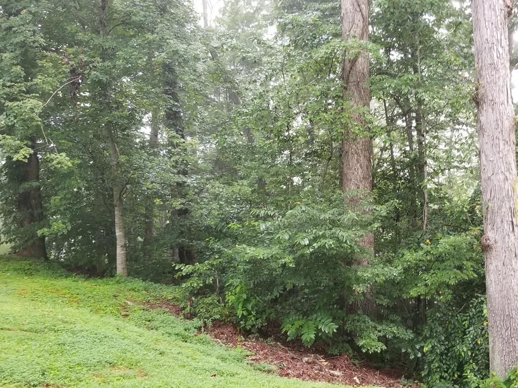 00 Shady Oaks Drive Lot 23 - Photo 1