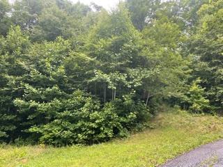 Lot 51 Grizzly Ridge - Photo 1