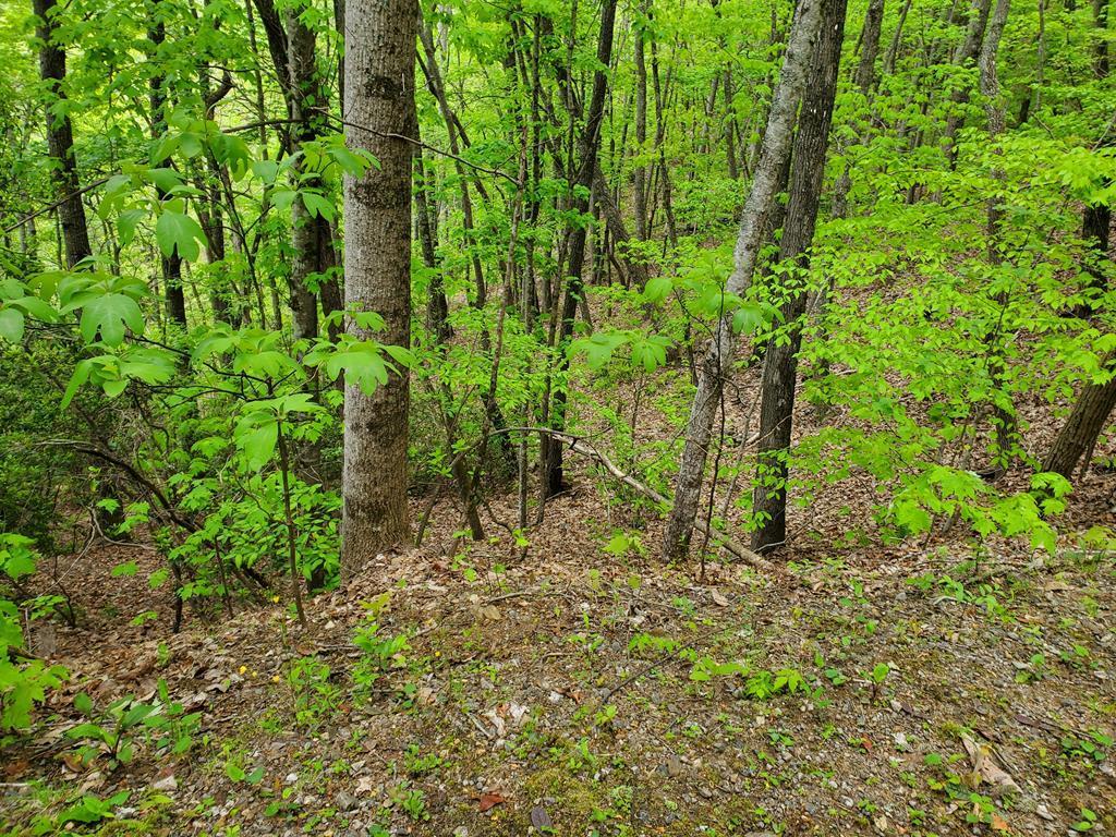 00 N. Valley View Rd. - Photo 1