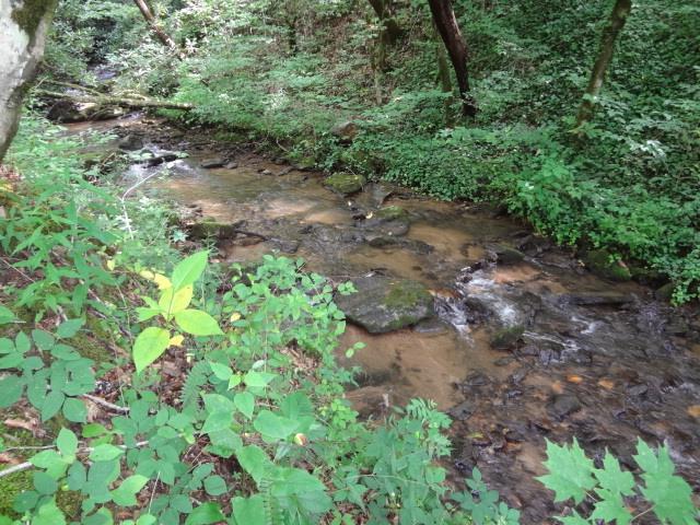 00 Laurel Falls Road - Photo 1