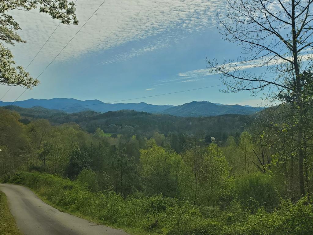 00 Mccoy Hill Road - Photo 1