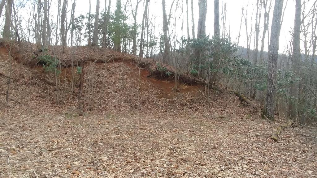 76 Cicada Dr - Photo 1
