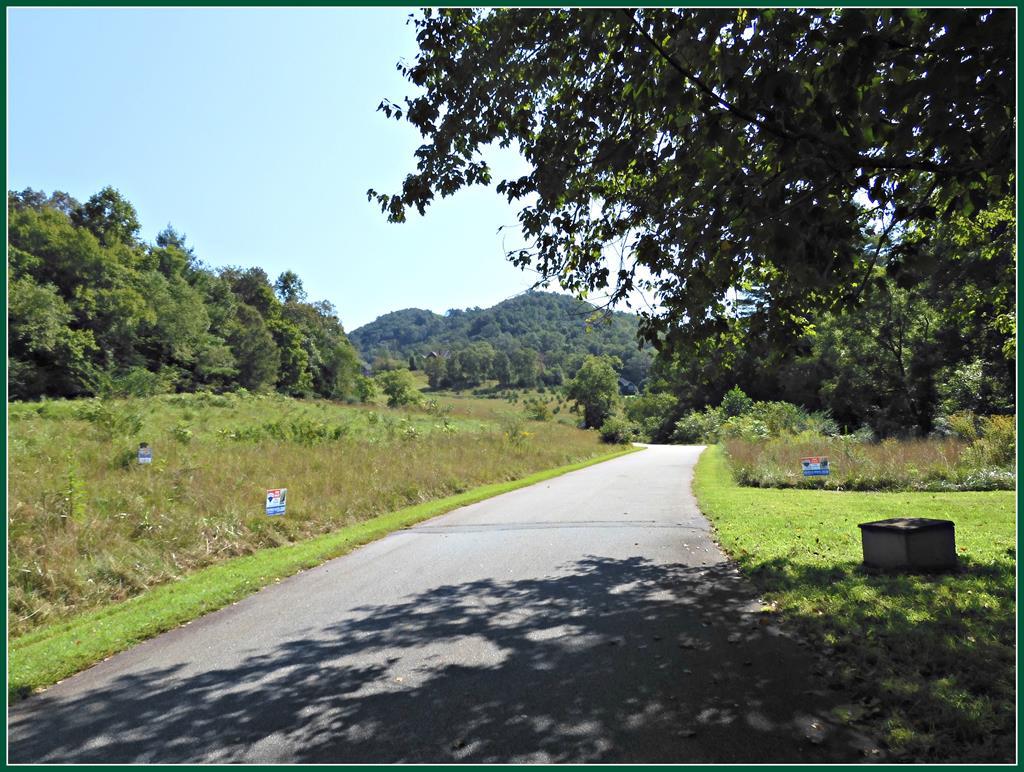 Lot 20 Autumn Trail - Photo 1