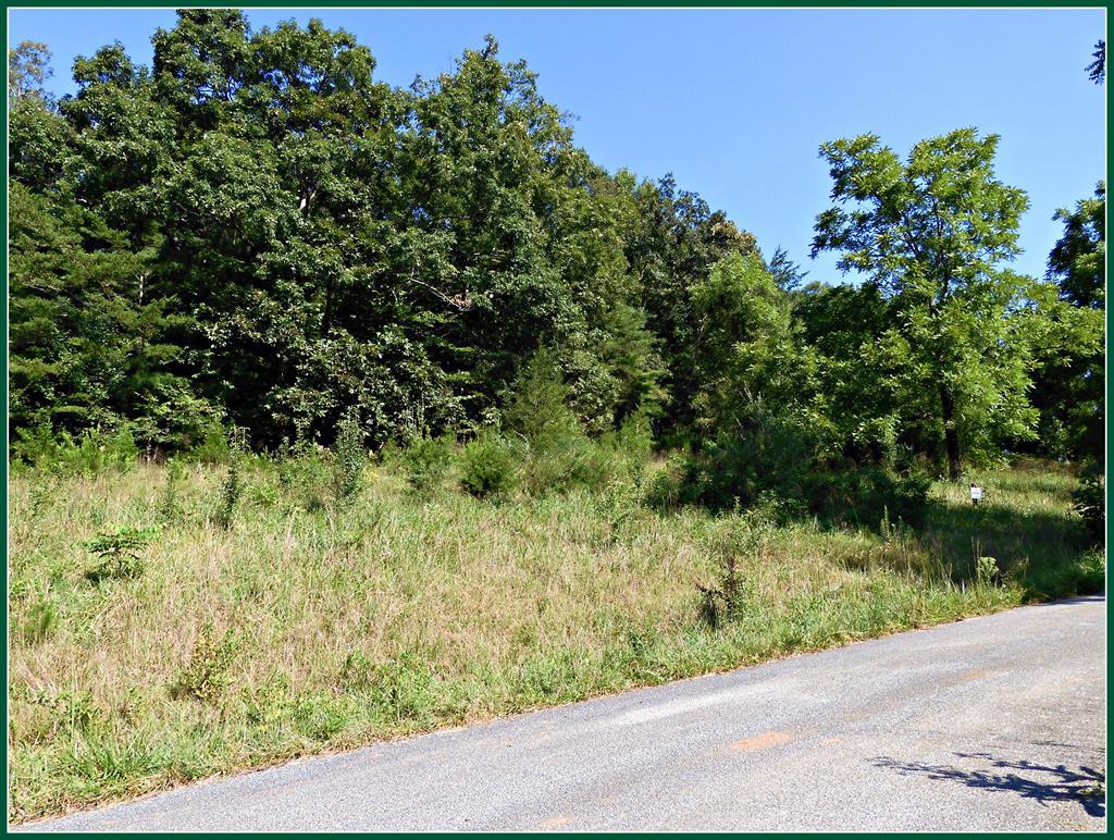 Lot 5 Sawyer Cove - Photo 1