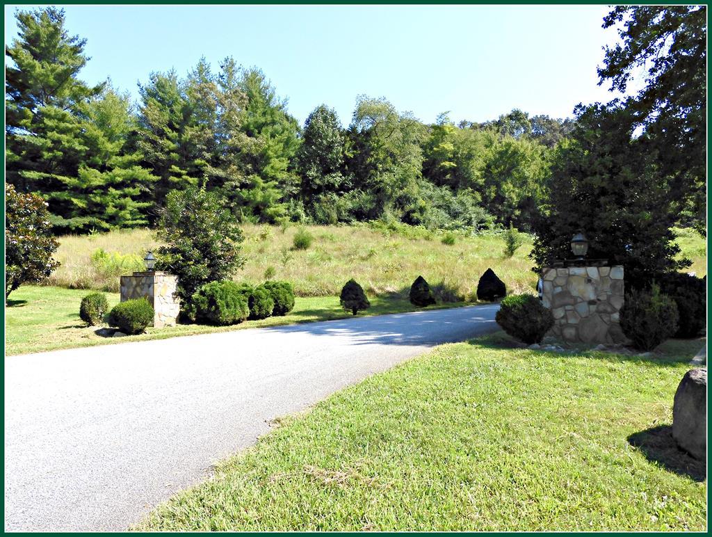 Lot 1 Autumn Trail - Photo 1