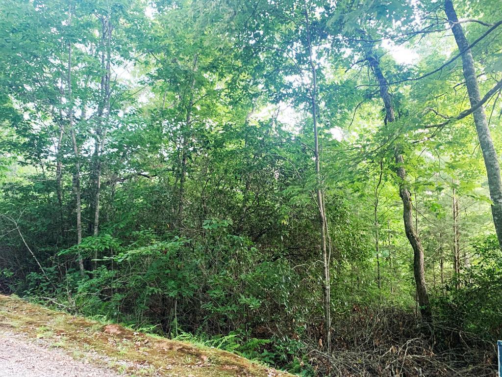 Lot 17 Cole Mountain - Photo 1