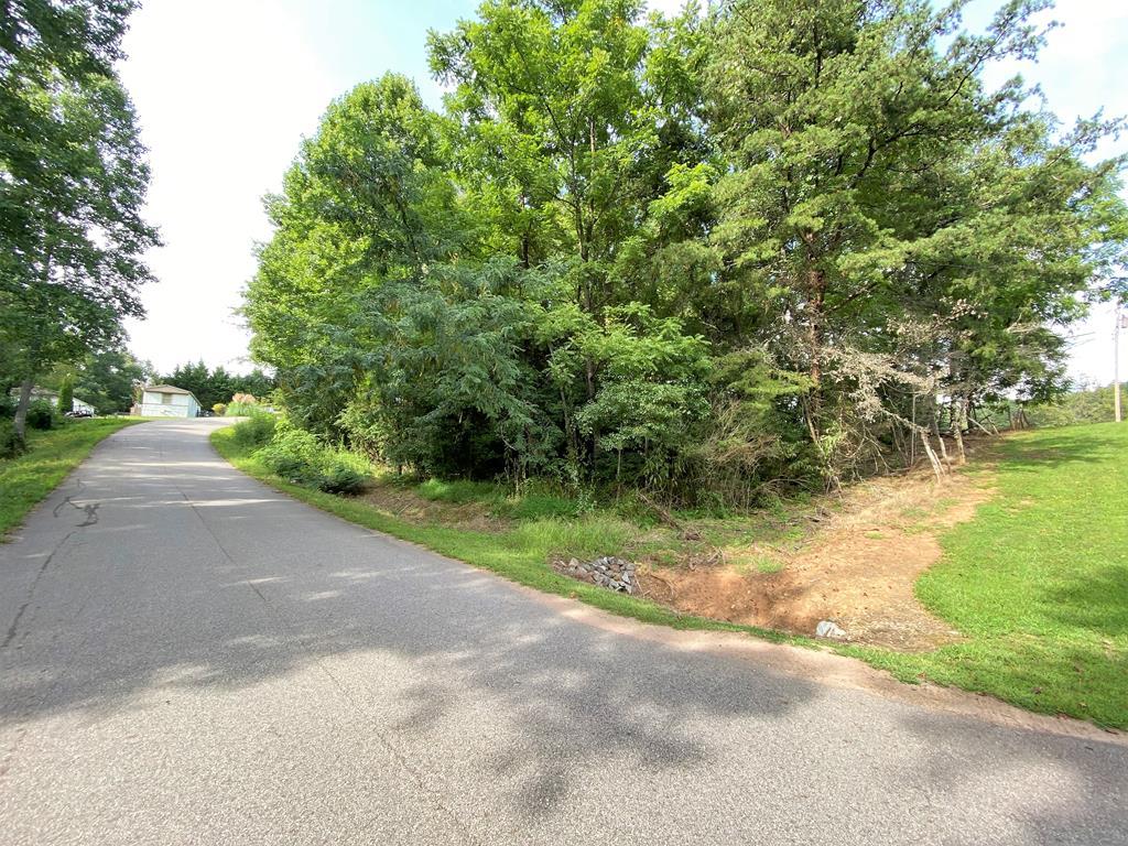 00 Pannell Ln - Photo 1