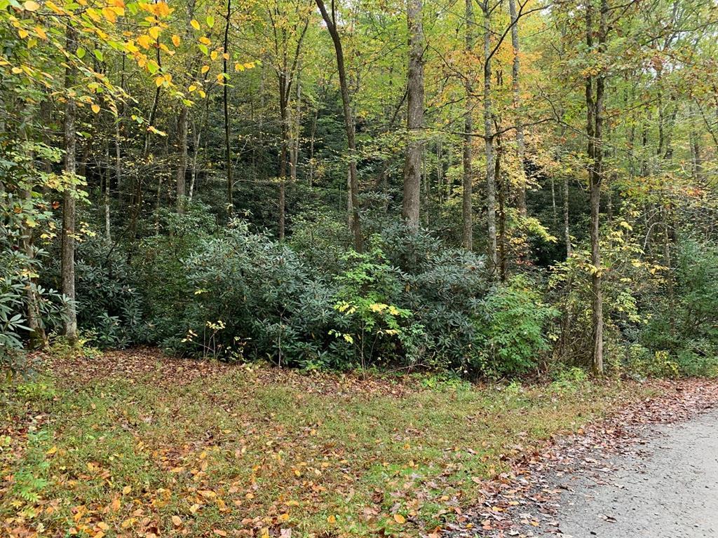 TBD S. Rhododendron Circle, Lot 64/Blk 4 - Photo 1