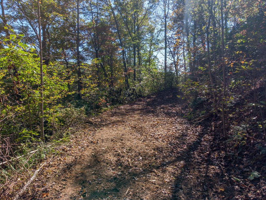 Lot 17 Falcon View Trail - Photo 1