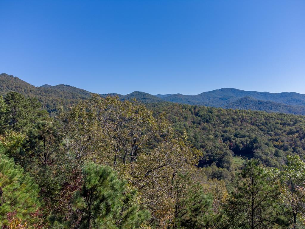 Lot 20 Mane Loop Road - Photo 1