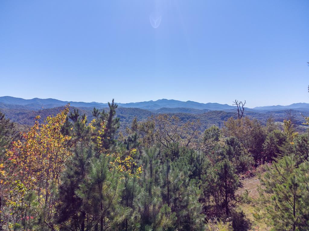 Lot 22 Road 1333 - Photo 1