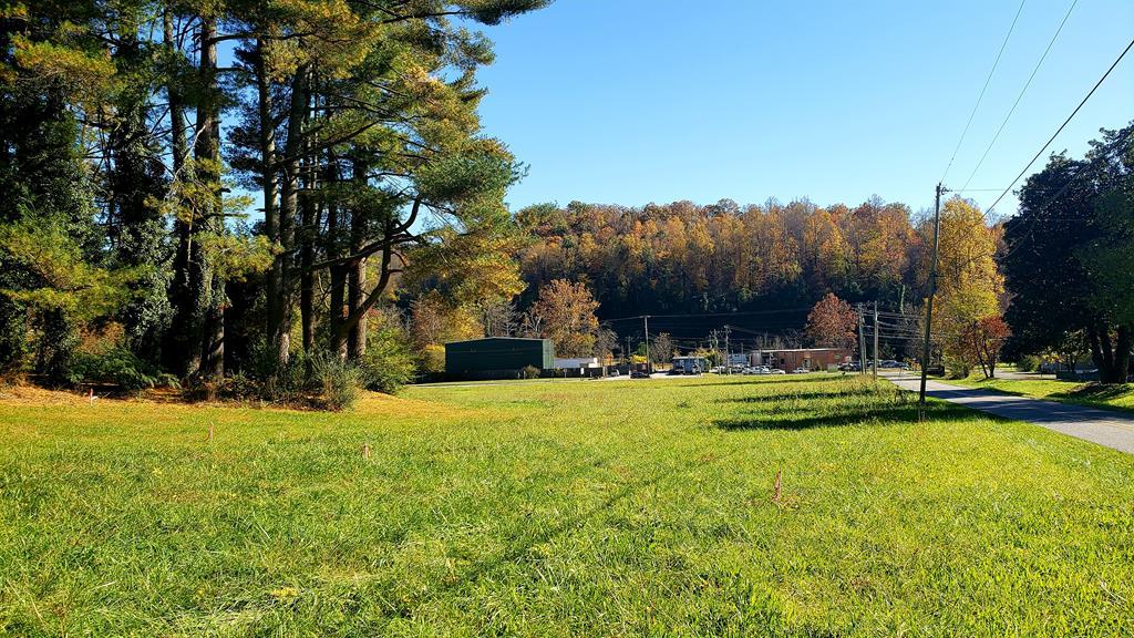 TBD Allens Branch Road - Photo 1